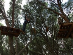 Acromix - Parc aventure dans les arbres